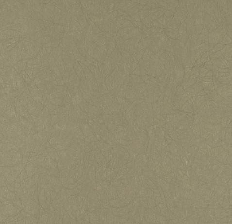 Обои Bernardo Bartalucci Legend 5068-71